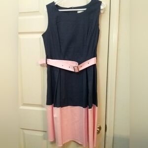 Ladies Blue and Pink Dress
